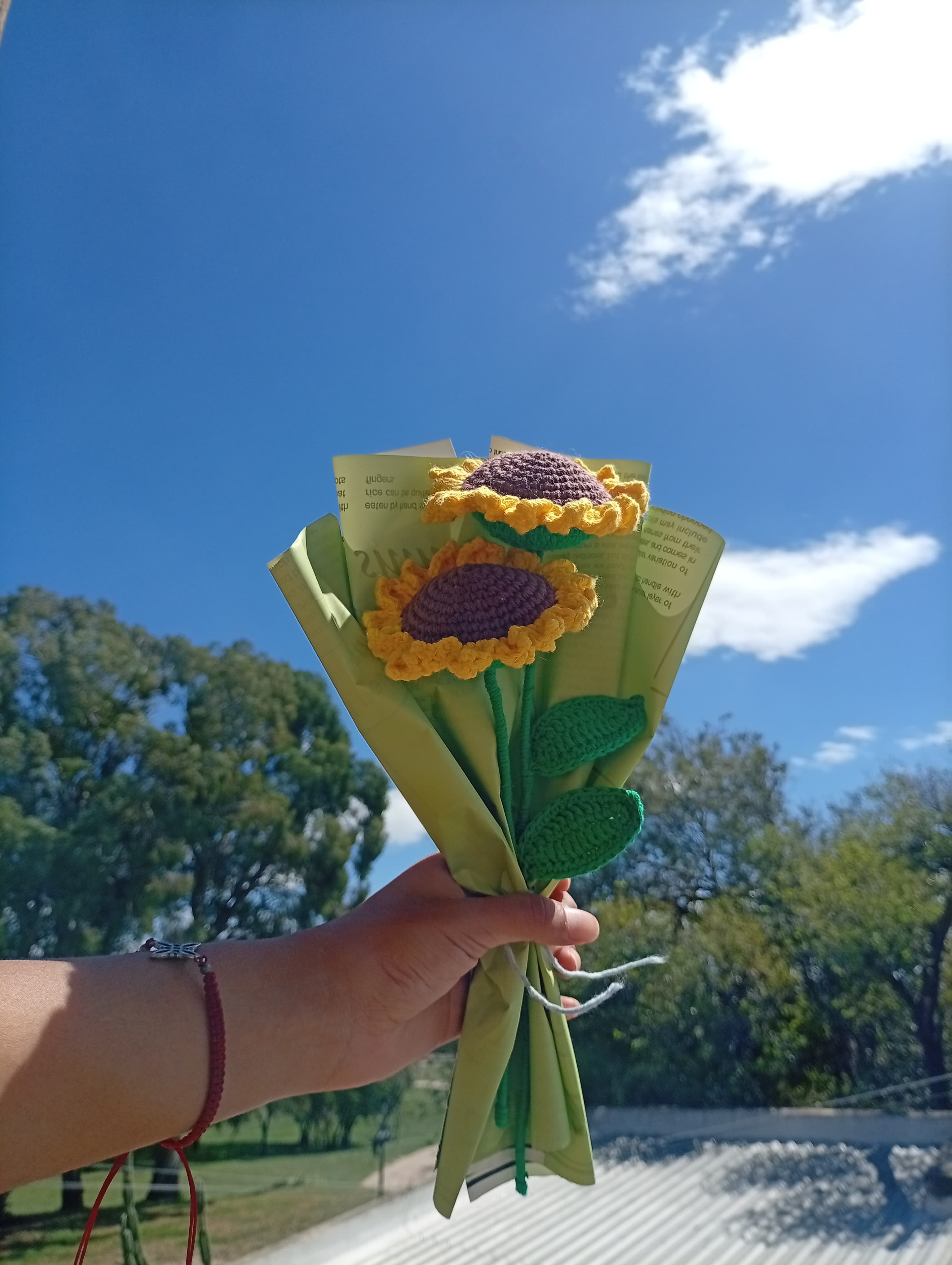 Girasol