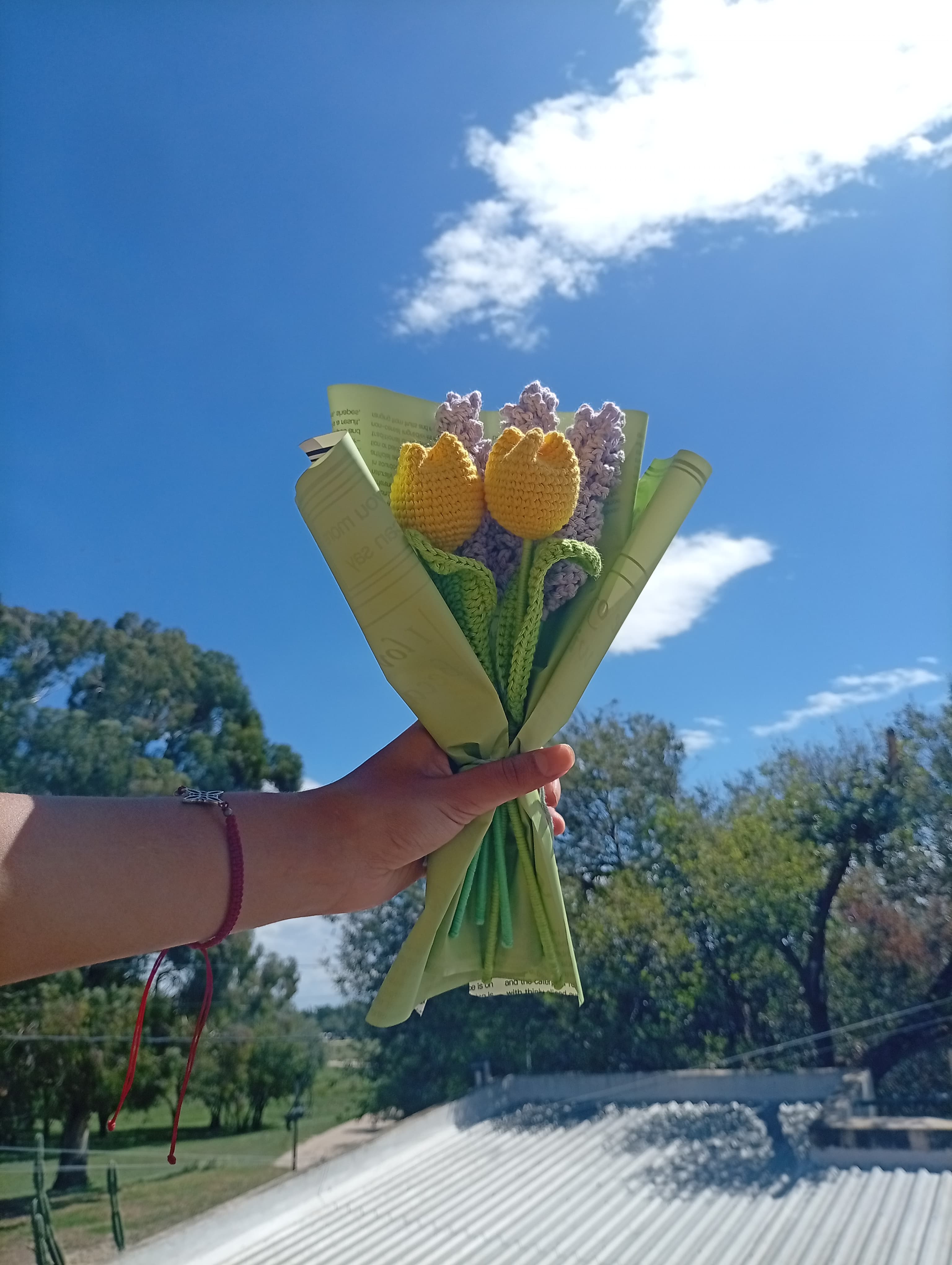 Tulipan