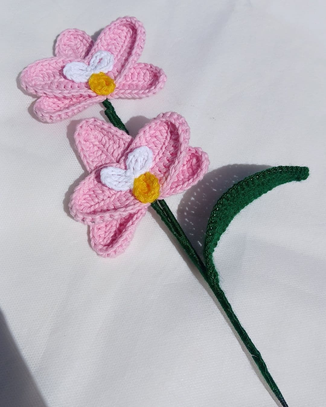 Orquidea